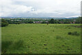 Field for cattle near Burnley