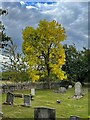 Early Autumn colour in Thurcroft Cemetery