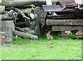 NZ0647 : Rabbit under the woodpile by Robert Graham