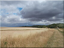 TL2171 : Fields to the west of the A141 by Peter S