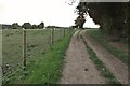 Chain Walk passing a paddock