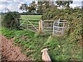 SX9791 : Metal Gate into a Field by John P Reeves