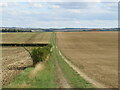 TL3338 : Track through fields near Royston by Malc McDonald