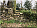 SP0610 : Stone Stile Chedworth by Jayne Tovey