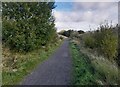 NY6860 : Footpath near Rowfoot by Colin Kinnear
