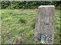 Cow Lane Trig Point Flush Bracket S2799