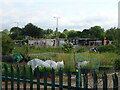 Allotments near the M4 Motorway