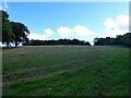TQ6118 : Kentsley Hill Field by Simon Carey