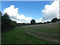 TQ6118 : Barn Field/Cow Field/Six Acres by Simon Carey