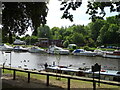 River Thames, Sunbury