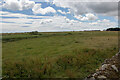 The more westerly of two mill ponds at Chapel Mill, Usan, Angus