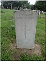 Grave of an Australian munition worker, Plumstead Cemetery