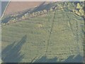 TF2259 : Cropmarks on field by Walnut Farm, Tattershall Thorpe: aerial 2022 (2) by Simon Tomson