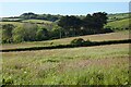 Farmland, Redruth