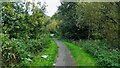 Cycleway along the Stanney Brook