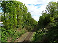 Railway towards Eastleigh