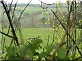 Field sloping down to the valley of the River Alun