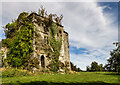 W8992 : Castles of Munster: Aghern, Cork (5) by Mike Searle