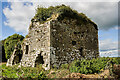 R6430 : Castles of Munster: Bulgaden Eady, Limerick (1) by Mike Searle