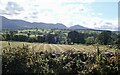 A field of mown hay between Drumee Road and the A50