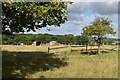 Fields beside Ewell Lane