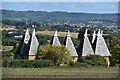 Oasthouses at East Farleigh