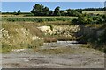 An old chalk pit