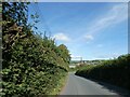 Hedge-lined road south of Brook Farm