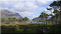 Woods by Upper Loch Torridon