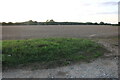 TL9377 : Field in Coney Weston by David Howard
