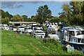 Moored boats on the Medway at Wateringbury