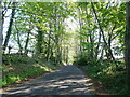 Green Lane towards Gosport