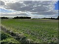 View across the fields to Watkin