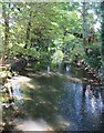 The Kennet in Marlborough