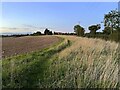 Farmland by the lane to Green End