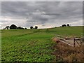 Farmland near Hagley Hill Farm