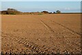 Farmland, Perranzabuloe