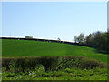 Hillside field, Stockbridge 