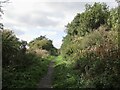 Berwickshire Railway trackbed