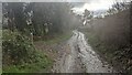 Footpath to Lyonshall Park Wood