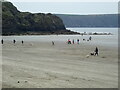 Dog walkers on Broad Haven Beach