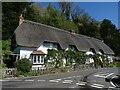 Thatched cottages on the B3048, Wherwell