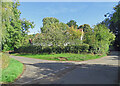 Bridge Green: the corner of Knole Lane