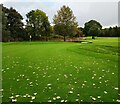 NS6959 : Green: Bothwell Castle Golf Club by Jim Smillie