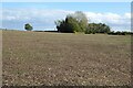 Farmland on Bishopton Hill