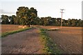 Bridleway to Sacombe Green