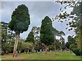 Oadby Cemetery