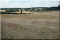 Fields on the side of Windmill Hill