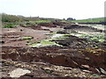 Rocky beach at St Bride