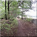 NO3824 : Path, Brownlie Wood by Richard Webb